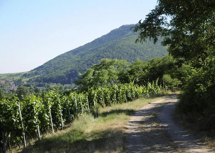 Gite Du Brocanteur Apartment *